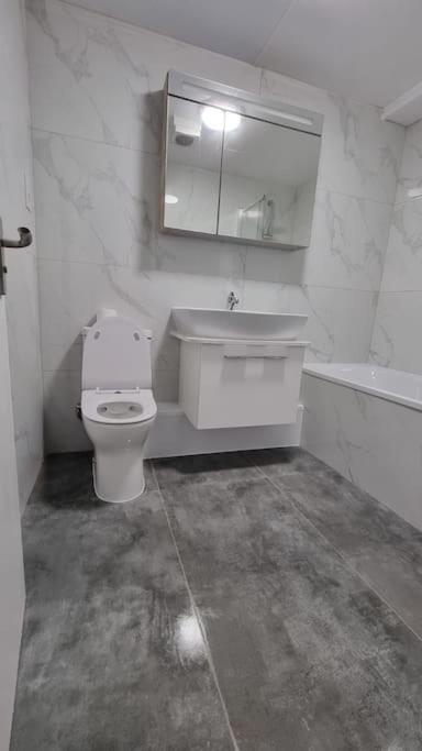Brand New Flat Close To Turnpike Lane Tube Station 런던 외부 사진
